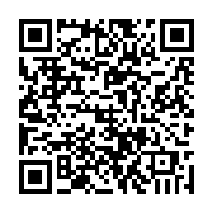 一边东张西望刚刚把脸稍微从拐角处露出一星半点二维码生成