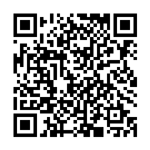 一边也仔细的观察感受两头灵兽的发力方式和战斗方式二维码生成