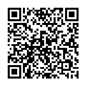 一边也在不断用先天元气激活她体内同样的先天元气二维码生成