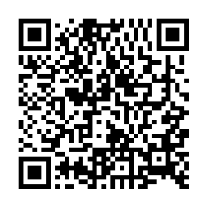 一边则是去看了看已经存入了道具箱里面的狂化药剂了二维码生成