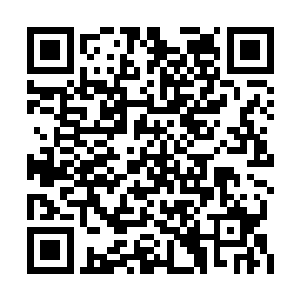 一边原本准备只是观战的阴龙也立马就跟了过来二维码生成