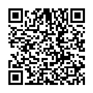 一边又羡慕着真粉的待遇……而她们心里原本的天平二维码生成