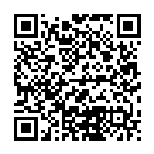 一边又让自己的骑士来捉拿瘟疫之神的信徒……简直不要太贪啊二维码生成