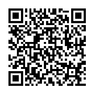 一边回忆在进入学海前读过的钓鱼类和有关学海垂钓的书籍二维码生成