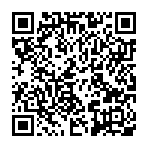 一边处理自己的伤势一边心有余悸地阐述着之前与火鸟遭遇的情况二维码生成