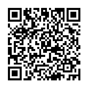 一边将自己的知识和语言注入到这枚废丹的灵魂之中二维码生成