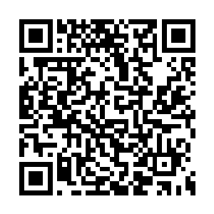 一边小心翼翼的拉开了她拽着绒布玩一偶的双手二维码生成