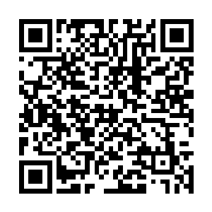 一边往回走云歌一面小心翼翼的偷偷打量着徐清尘二维码生成