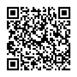 一边思考着明日收保护费的事儿……现在岛上这么危险二维码生成