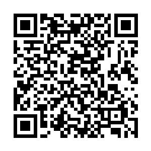 一边是瞅着一群冲上来准备维持秩序的道三境的城管二维码生成