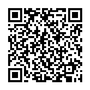 一边毫不客气的抓紧时间悄悄吸收蔡修杰的灵魂形体二维码生成
