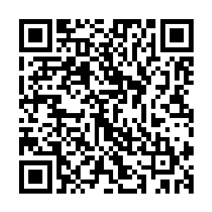 一边温柔却固执地从他的嘴巴里取出了他一直紧紧叼着的东西二维码生成