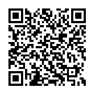 一边的二长老身上陡然间散发出一股凛冽的杀意二维码生成