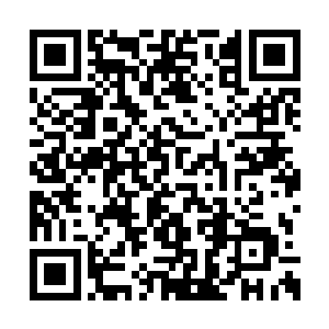 一边的卡莎用一块绣着金色花边的手帕捂住鼻子二维码生成