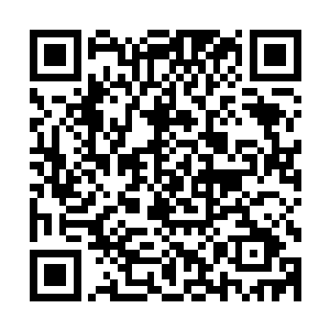 一边的太上大长老和太上二长老脸上也露出了一抹惊恐的神情二维码生成