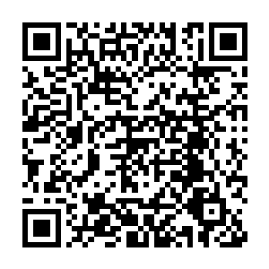 一边的孙尘几个人见到龙傲天一系列的动作之后脸上顿时无比的震惊二维码生成