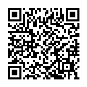 一边的苏清水立刻就是将他的动作给制止了下来二维码生成