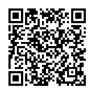 一边直接半跪着往前爬就一边结结巴巴颤抖不已地急禀道二维码生成