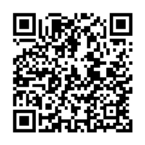 一边看到霍奇森夫人如同一只美丽的蝴蝶那样穿梭在宾客中二维码生成