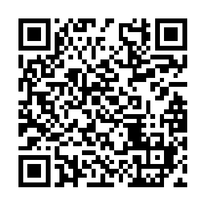 一边眼巴巴瞅着他们的龙天闻言扬起小脑袋开口道二维码生成