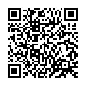 一边紧皱着眉头思索着刚才那个修士怎么就无声无息地死亡了二维码生成