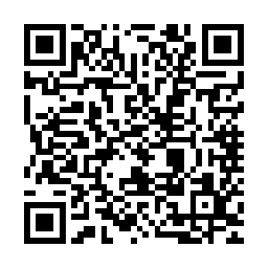 一边细细的品味着那些在水下每一个微小气泡的形成和生灭……二维码生成
