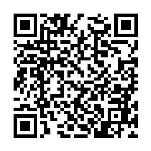 一边翻手从百草集当中将刚刚收进去的原本是大殿二维码生成