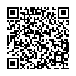 一边观察那一株被自己滴了金血的龙血花的变化二维码生成