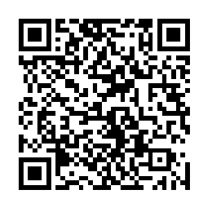一边让人上菜一边大致介绍了一下原雁湖村养殖基地的情况二维码生成