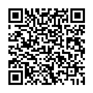 一边跑还一边冲还趴在座位上不敢动的小伙子吼道二维码生成