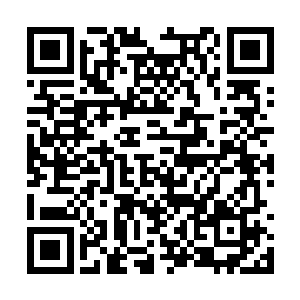 一边蹲着的沙罗獭三兄弟却是脸色发黑的看看他们二维码生成