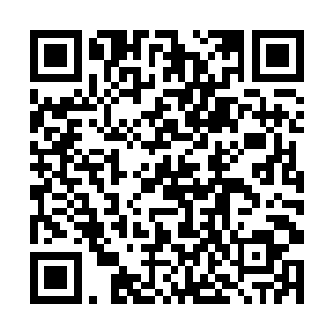 一边转一边又开始运转她因浮躁变得不太灵光的脑子二维码生成