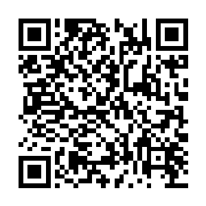 一边风骚地朝着云端看台上密密麻麻的观众挥着手二维码生成