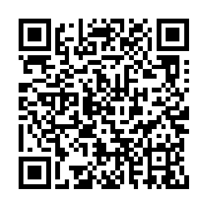 一进书房就看到叶璃坐在书案后看着手里的折子二维码生成