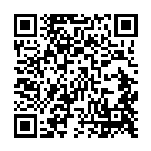 一进军团就将特战大队替补战队的绝刺队长廉邵景直接ko了二维码生成