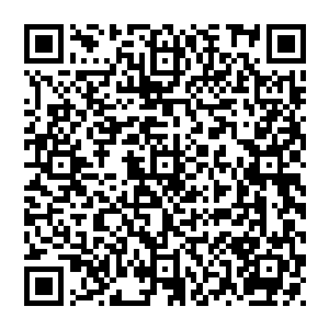 一进门就看见一颗颗悬浮在屋子上空有成人拳头大小的珠子泛着柔和的光芒把整间屋子的角落都照耀的如同白昼二维码生成