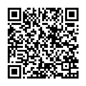 一连数天紧绷着的神经在凤羽珩这带着挑衅的一瞪中二维码生成