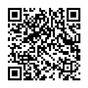 一道一寸长的恐怖的伤口也出现在了蓝绍军的脸上二维码生成
