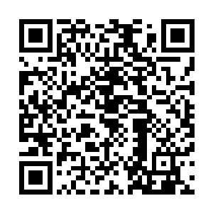 一道不弱于林烽的攻击的灵力匹练直接朝着林烽攻击了过来二维码生成