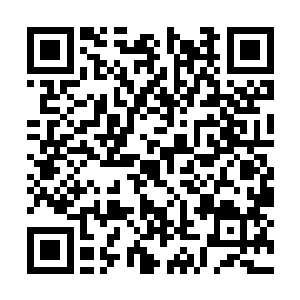 一道人影身子灵活的有如一条鱼儿似地飞快的穿梭二维码生成