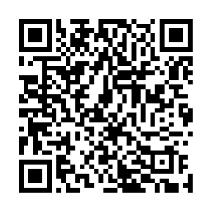 一道仙力凝聚而成的箭矢正死死的钉在半空中一张突兀出现二维码生成