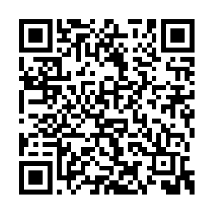 一道仿佛是来自灵魂的声音在叶尊的脑海中响起二维码生成