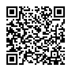 一道充满了无尽的大道韵律的声音在杨戬的耳中传来二维码生成
