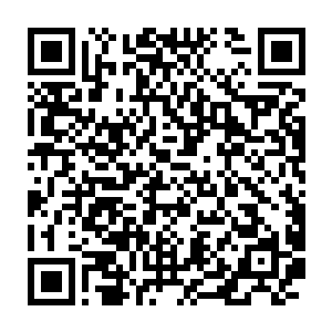 一道充满了金色光芒的法则印记朝着正躺在地上痛苦挣扎着的佘老打去二维码生成