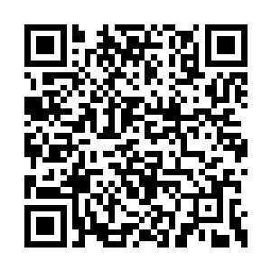 一道充满了霸道的声音出从杨戬的脑海之中传来二维码生成