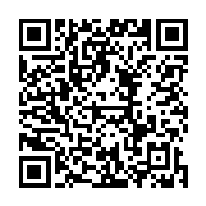 一道充满着少年模样的脸庞突然出现在了魏铭玄的瞳孔之中二维码生成