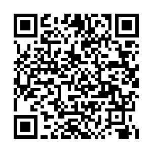 一道如锅盖般大小的掌印迅若闪电般拍击向灵儿二维码生成