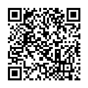 一道恐怖的冲天的金色的光芒也从禁制上面散发出来二维码生成