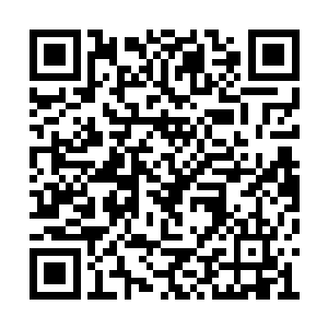 一道恐怖的剑气也直接狠狠的朝着虚空之中斩去二维码生成