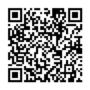 一道恐怖的巨大巨人的身影出现在了杨戬的视线之中二维码生成